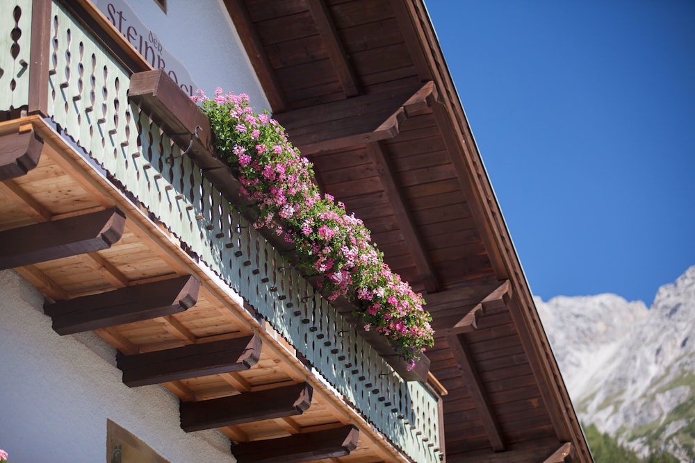 Pension Der Steinbock - Das Bauernhaus 4/50