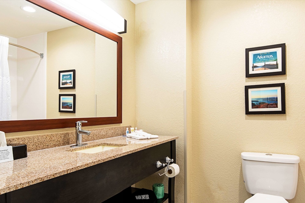Comfort Inn & Suites Pine Bluff 26/29