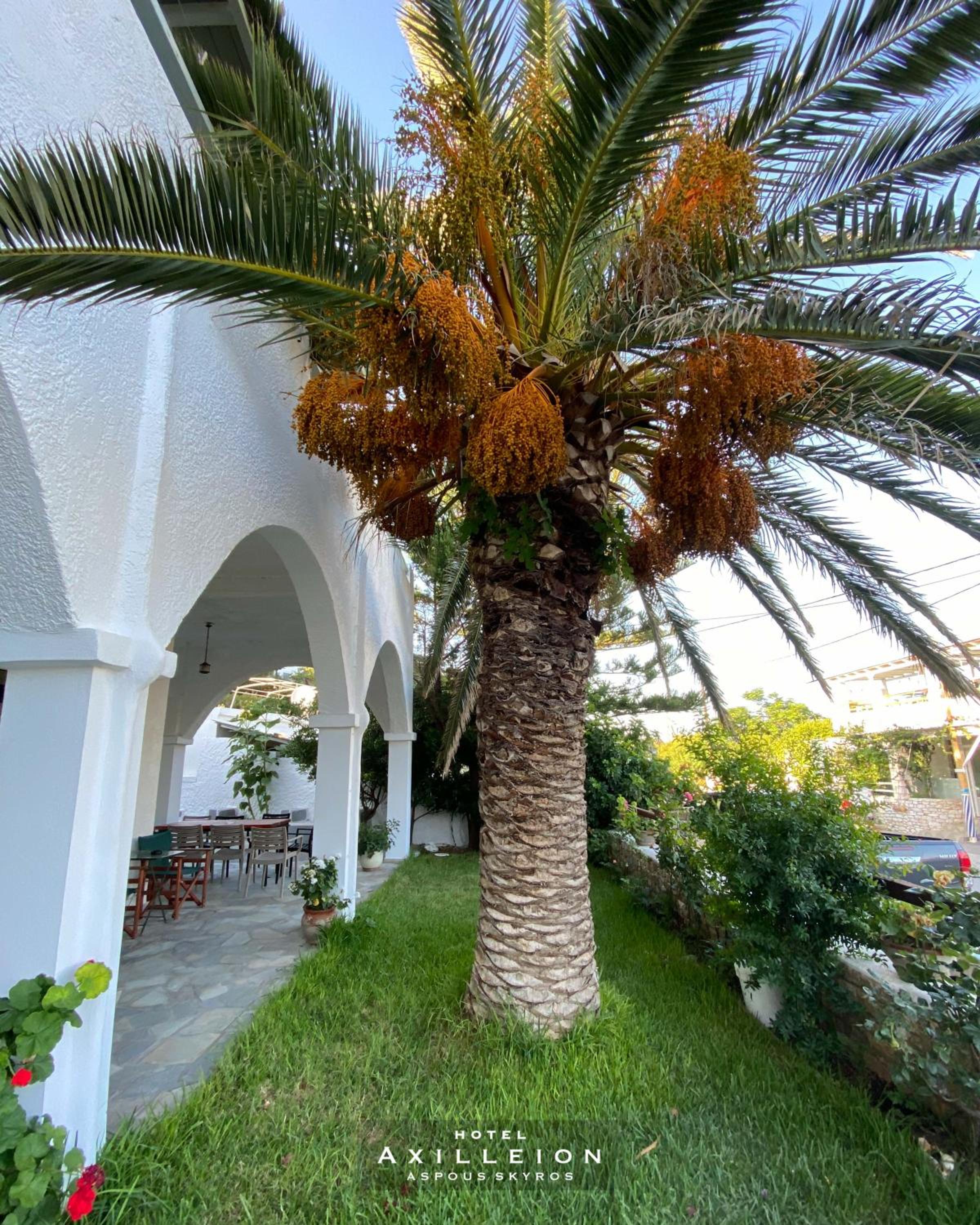 Axilleion Hotel 46/50