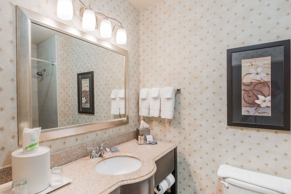 Wingate by Wyndham New Braunfels 8/31