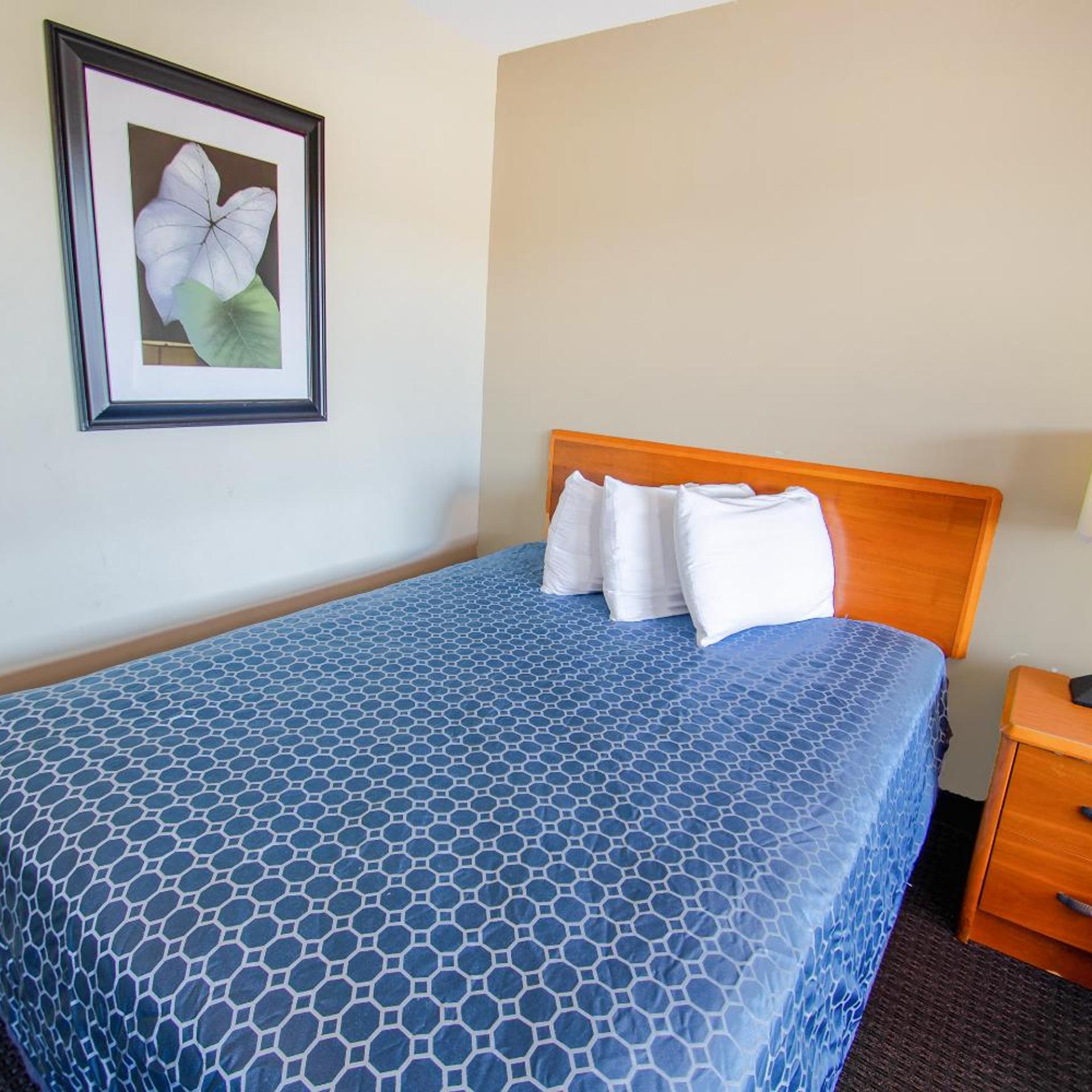 Room, Queen Bed