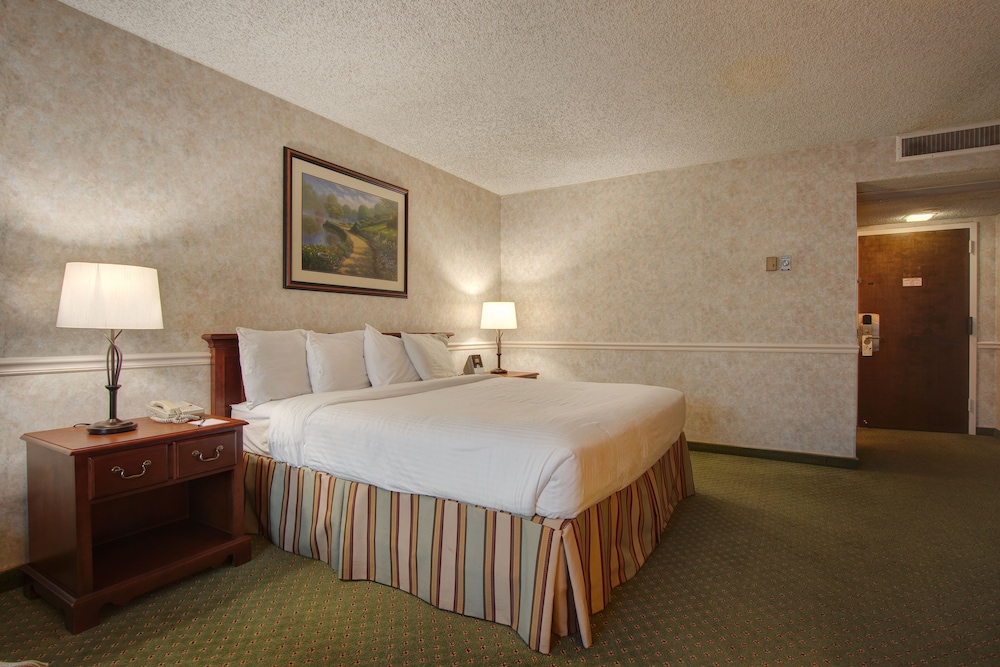 STANDARD, KING BED