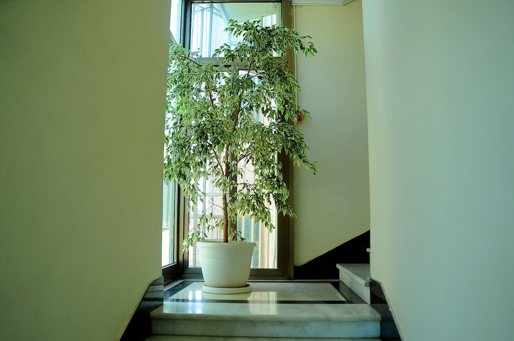 Zola International Hotel 37/50