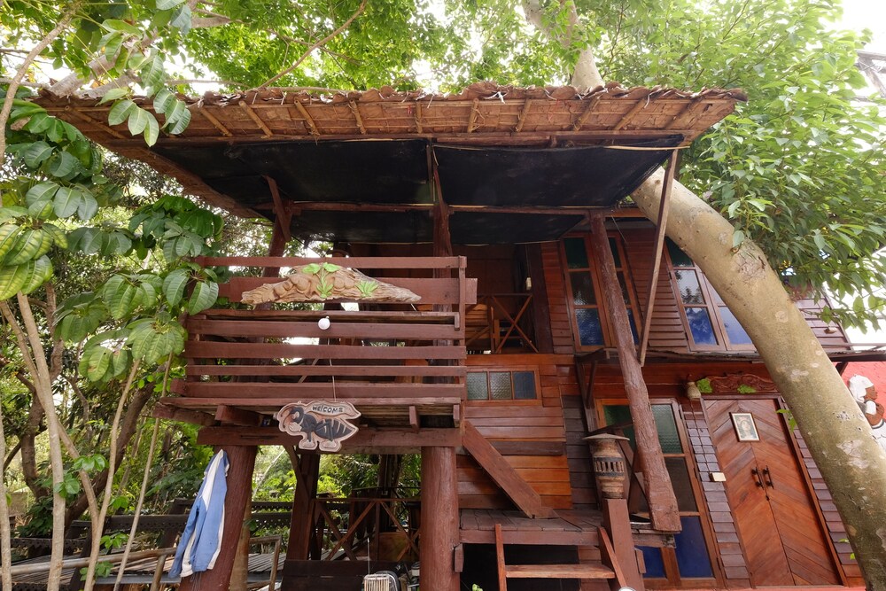 P P Coffee Resort Maesariang 7/50