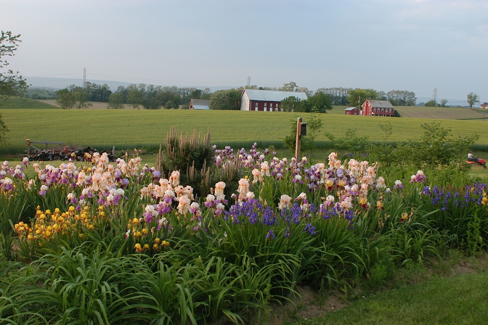Annville Inn Bed and Breakfast 41/50