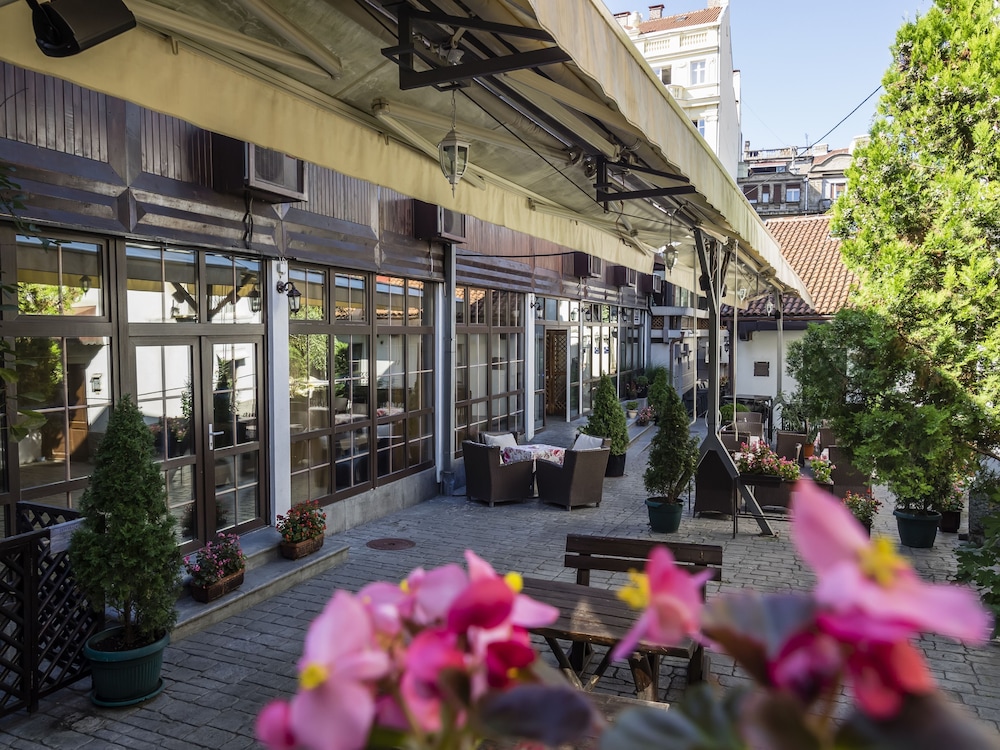 Le Petit Piaf Hotel 1/56