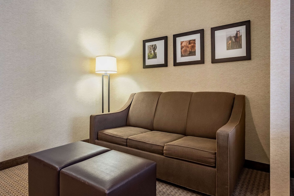 Comfort Suites Hotel and Conference Center, Berlin OH 26/36