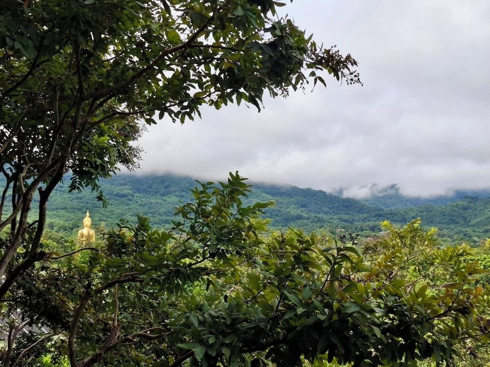 Vivace Khaoyai Resort 25/50