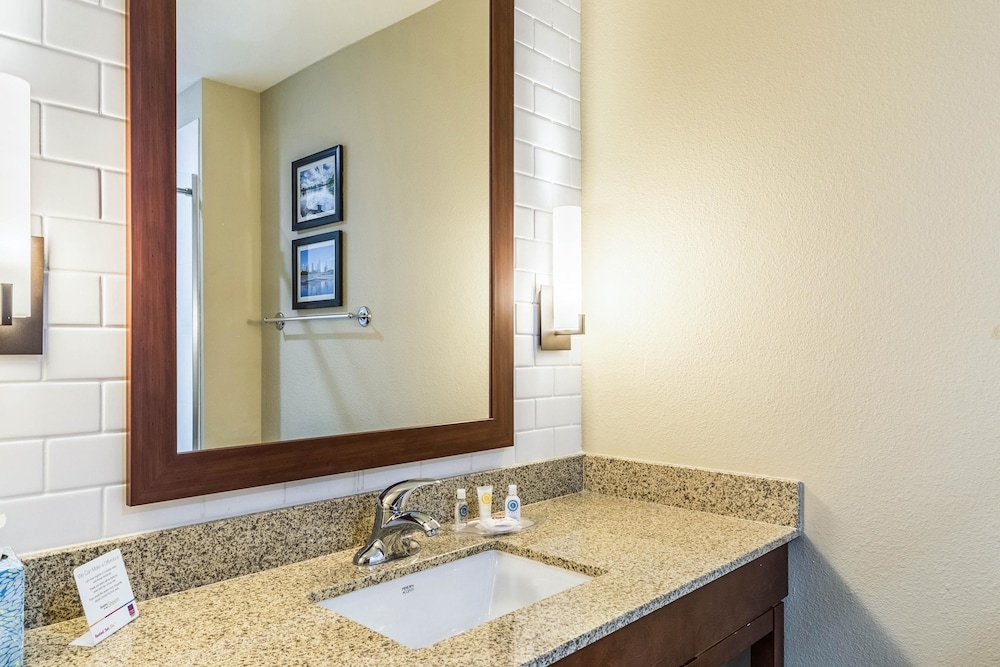 Comfort Suites Channelview - Houston East 16/41