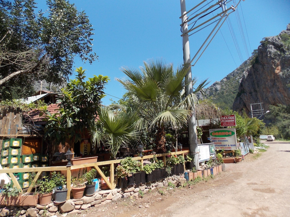 Olympos Orange 32/50