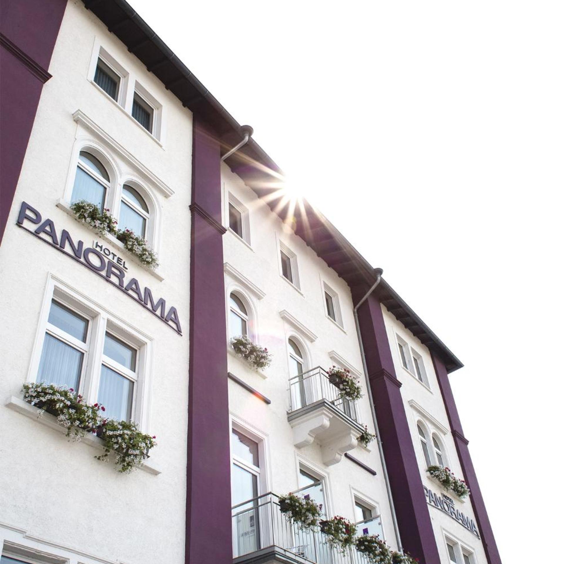 Hotel Panorama Heidelberg 2/45