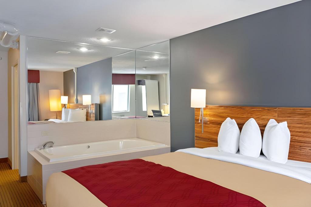 Efficiency, Suite, King Bed