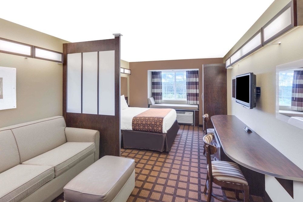 Microtel Inn & Suites By Wyndham Ozark 16/20