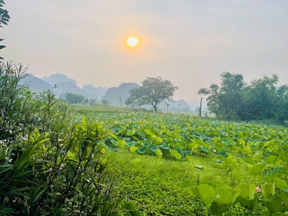 Tam Coc Garden Homestay 56/71