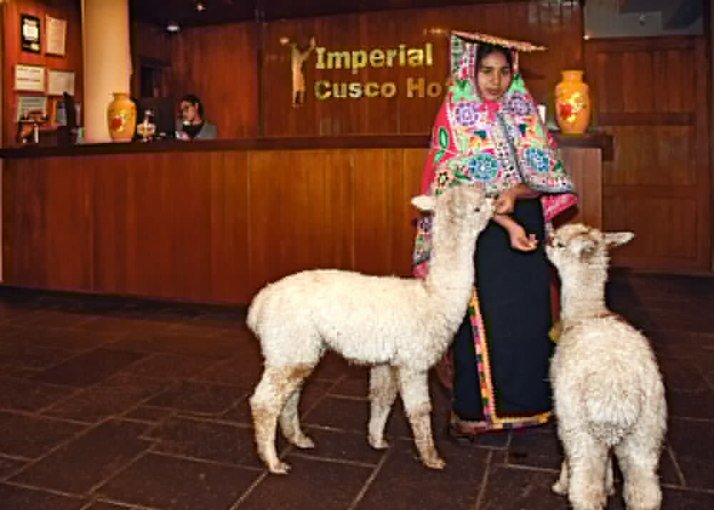 Imperial Cusco 35/44