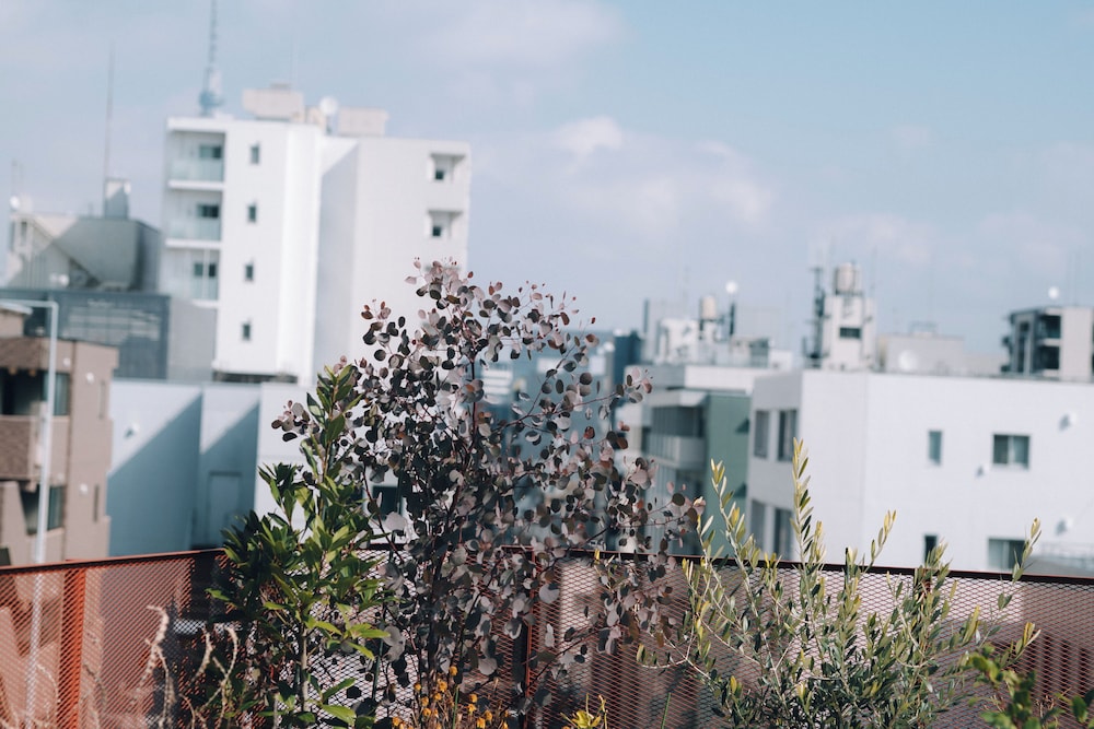 SOIL Nihonbashi Hotel 32/35