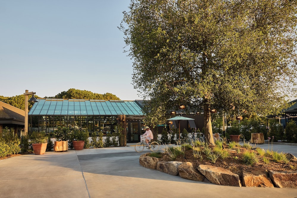 Treehouse Hotel Silicon Valley 5/50