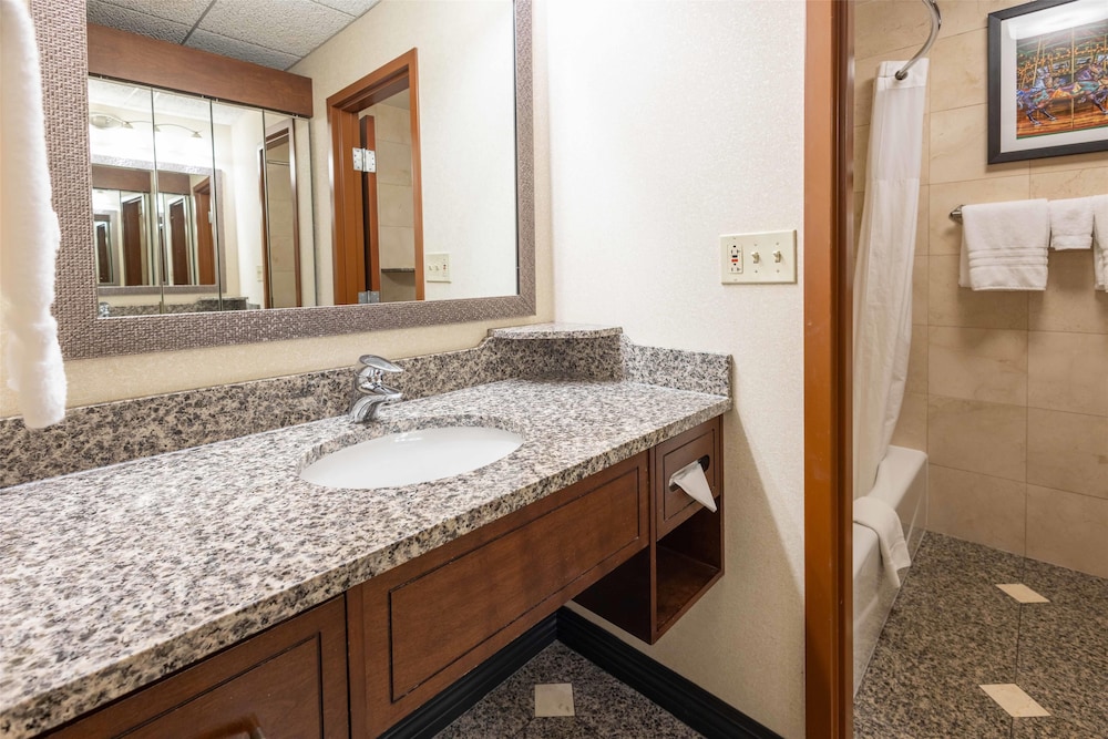 Drury Plaza Hotel St Louis Chesterfield 47/50
