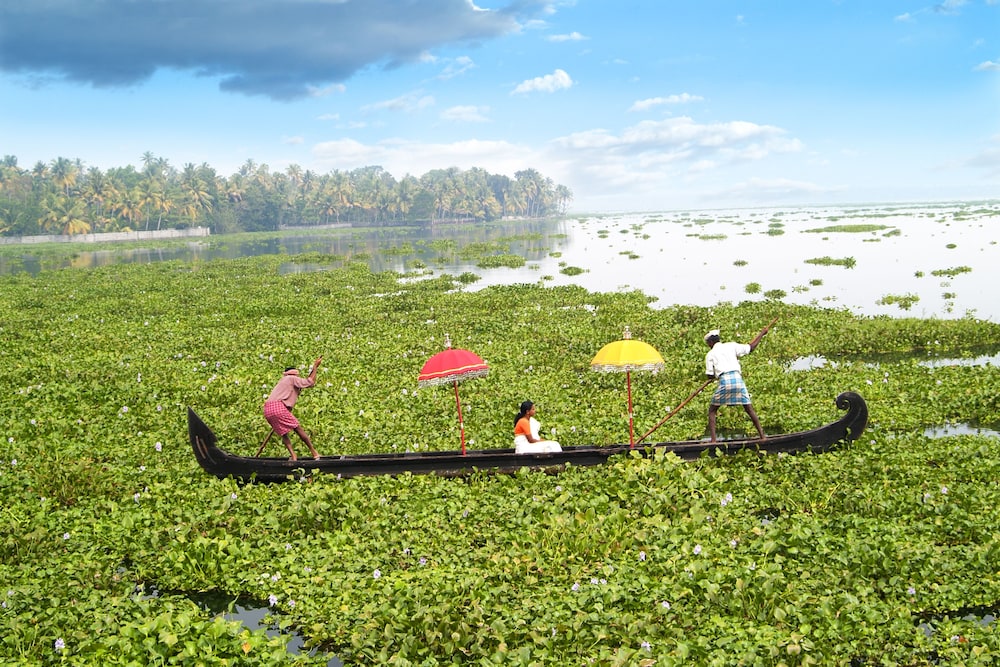 PURITY AT LAKE VEMBANAD 23/29