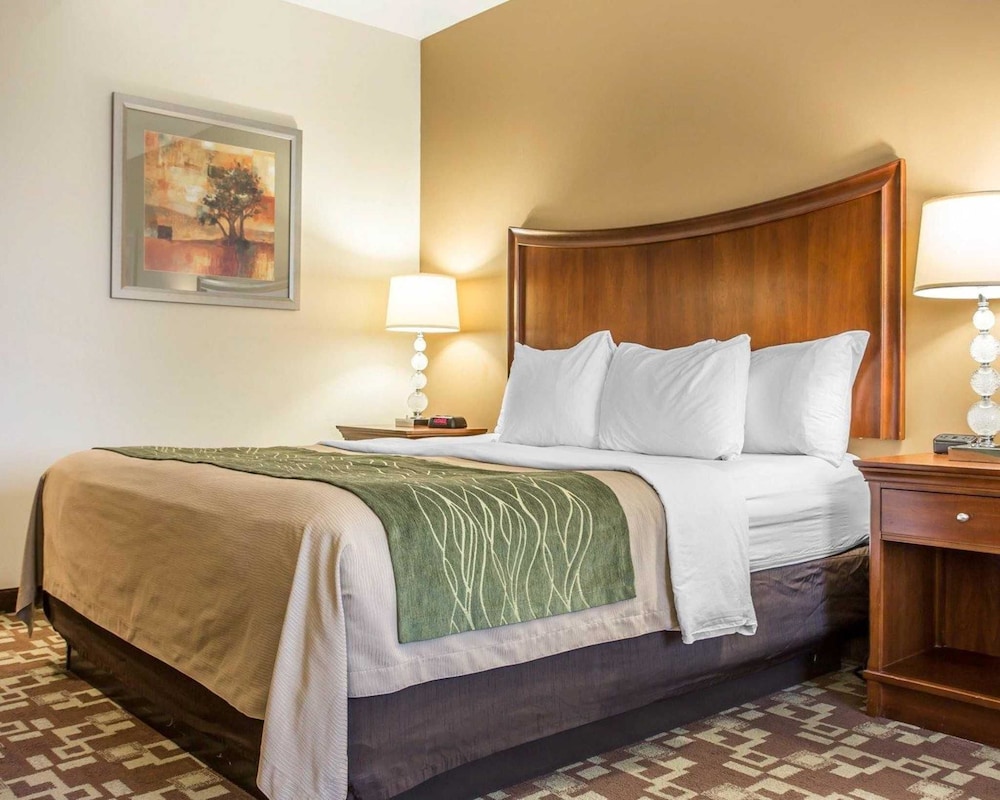 Comfort Inn & Suites Orangeburg 13/36