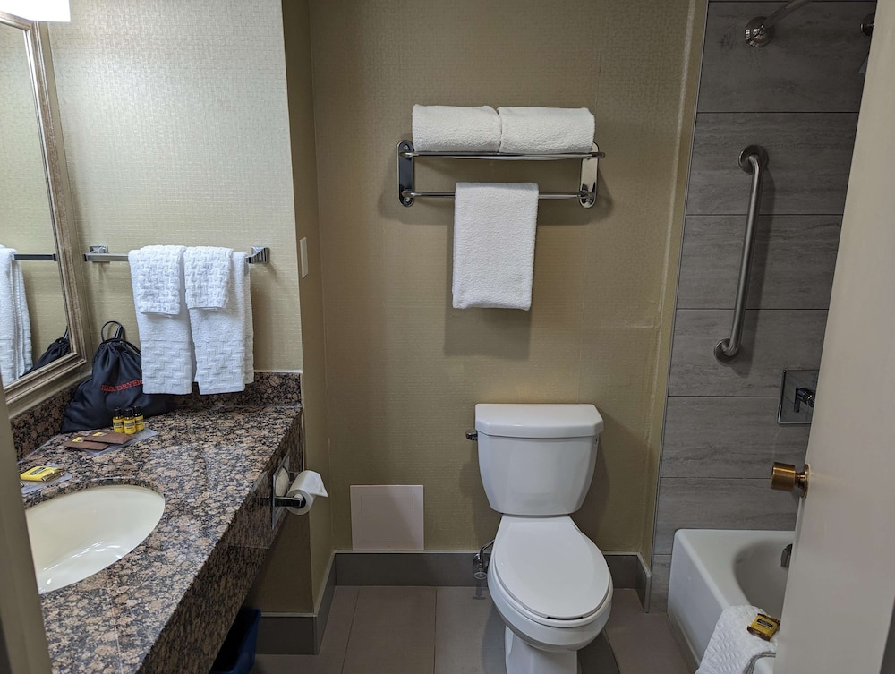 غرفة قياسية بسرير كوين، Best Western Plus Toronto Airport Hotel 9/10