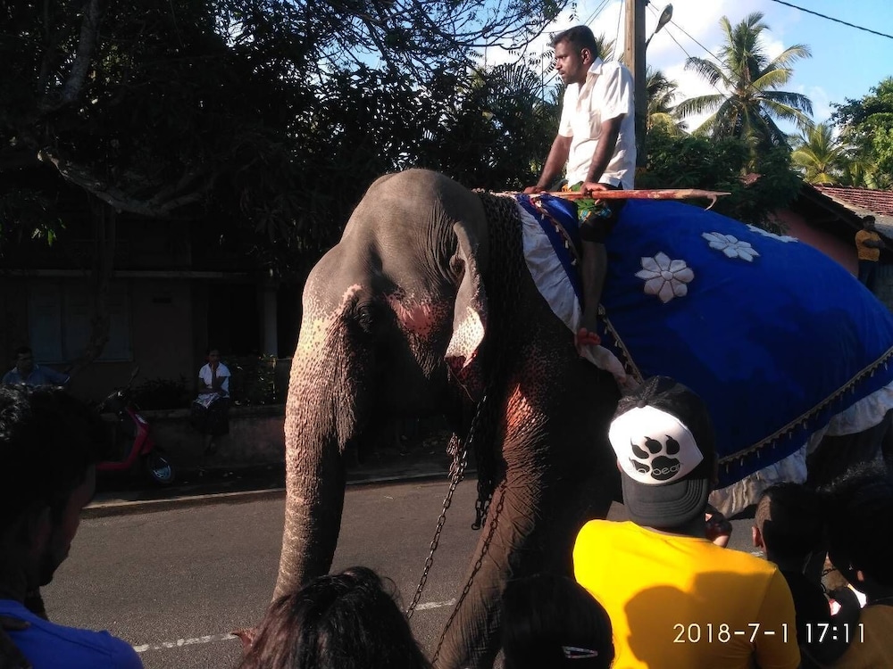 Ravana Beach Cabanas 27/36