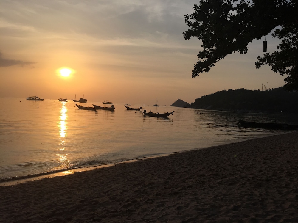 Sairee Hut Resort Koh Tao 45/50
