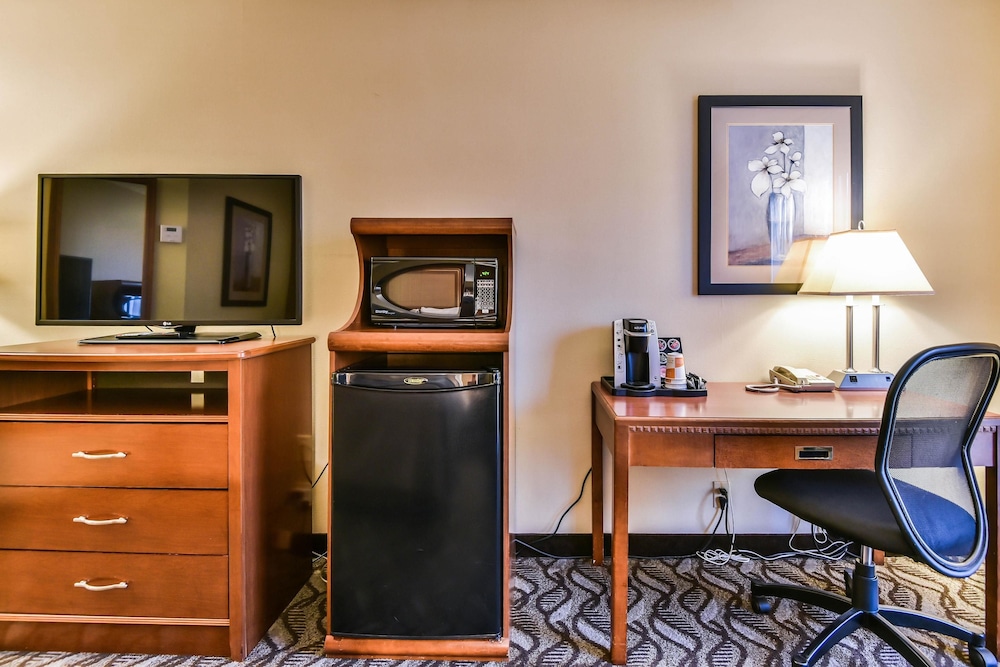 Comfort Inn & Suites Ambassador Bridge 37/39