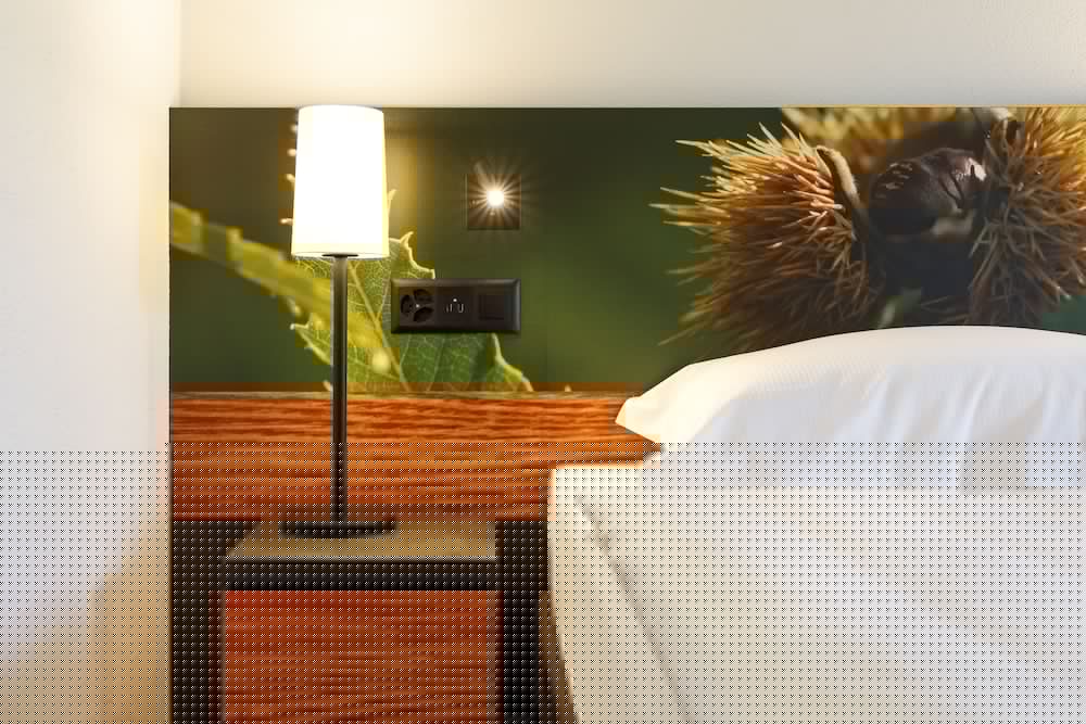 BELLINZONA SUD SWISS QUALITY HOTEL 21/66