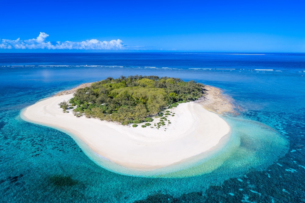 Wilson Island Resort 24/38