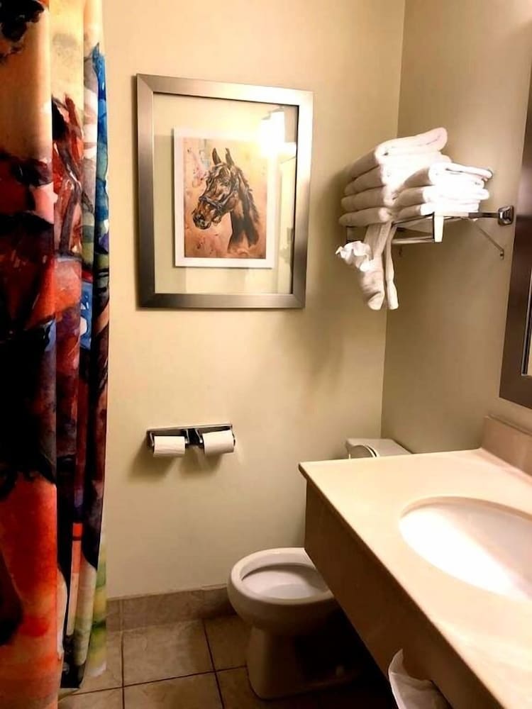 Cedar Stables Inn And Suites 17/17