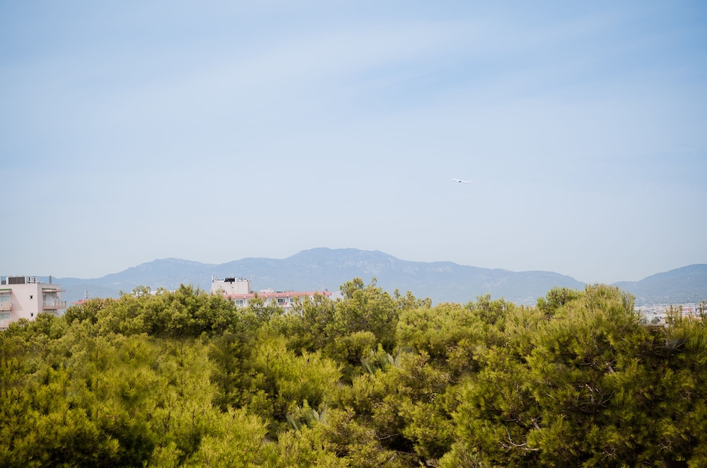 Hotel Vibra Palma Cactus 80/86