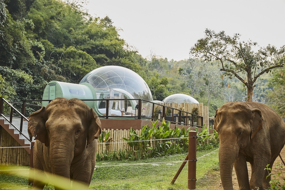 Anantara Golden Triangle Elephant Camp Resort 76/82