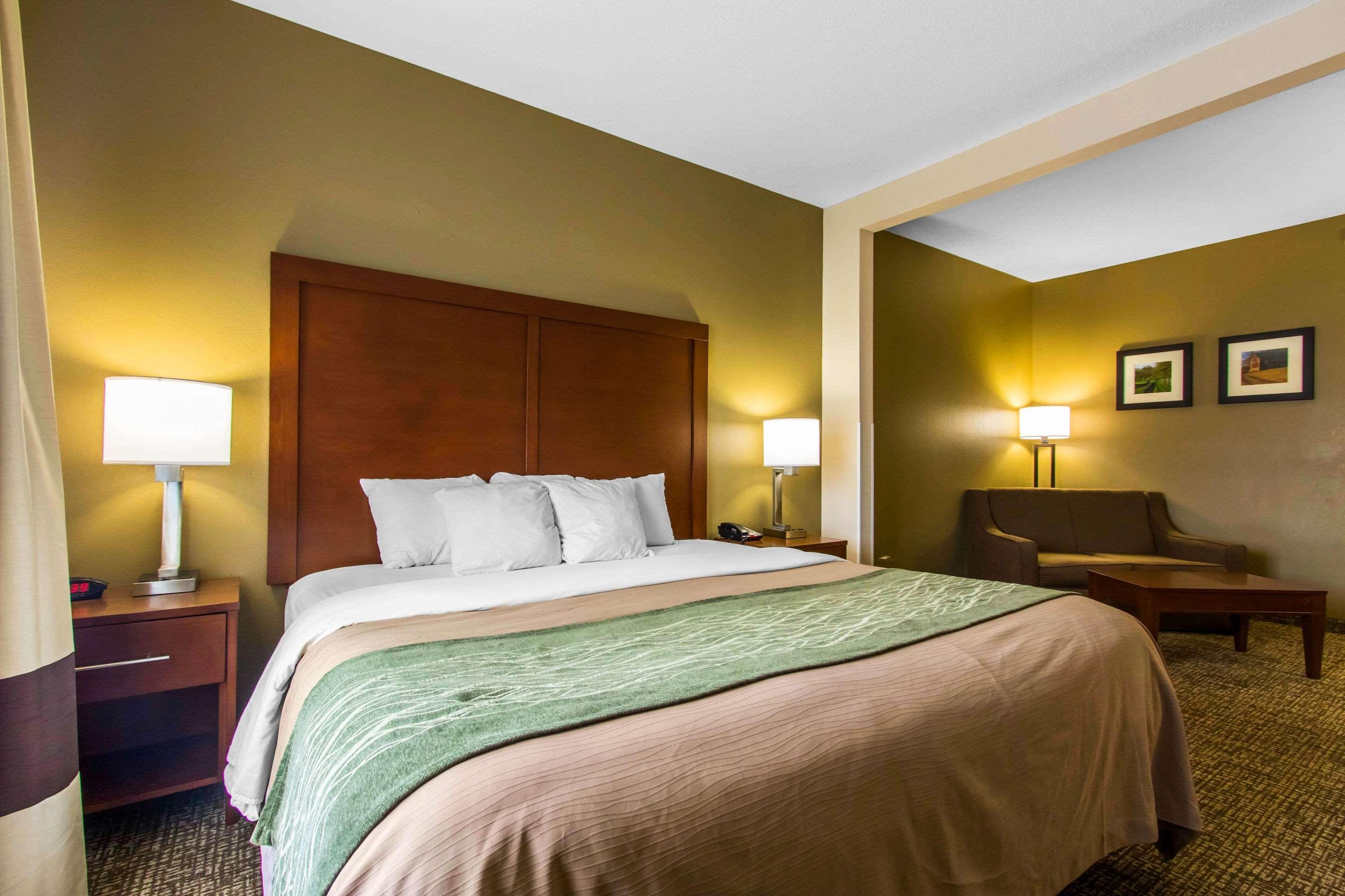 Suite, King Bed