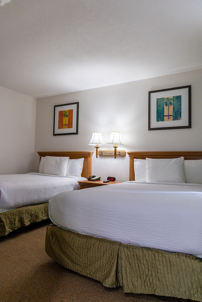 SUITE, 2 DOUBLE BEDS, SOFA, KITCHENETTE