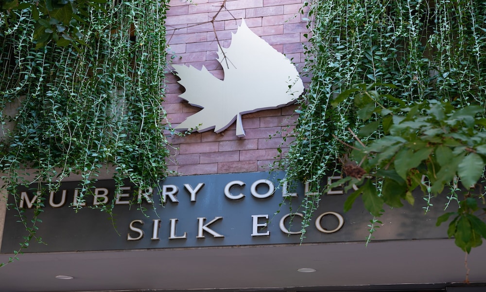 Mulberry Collection Silk Eco 69/72