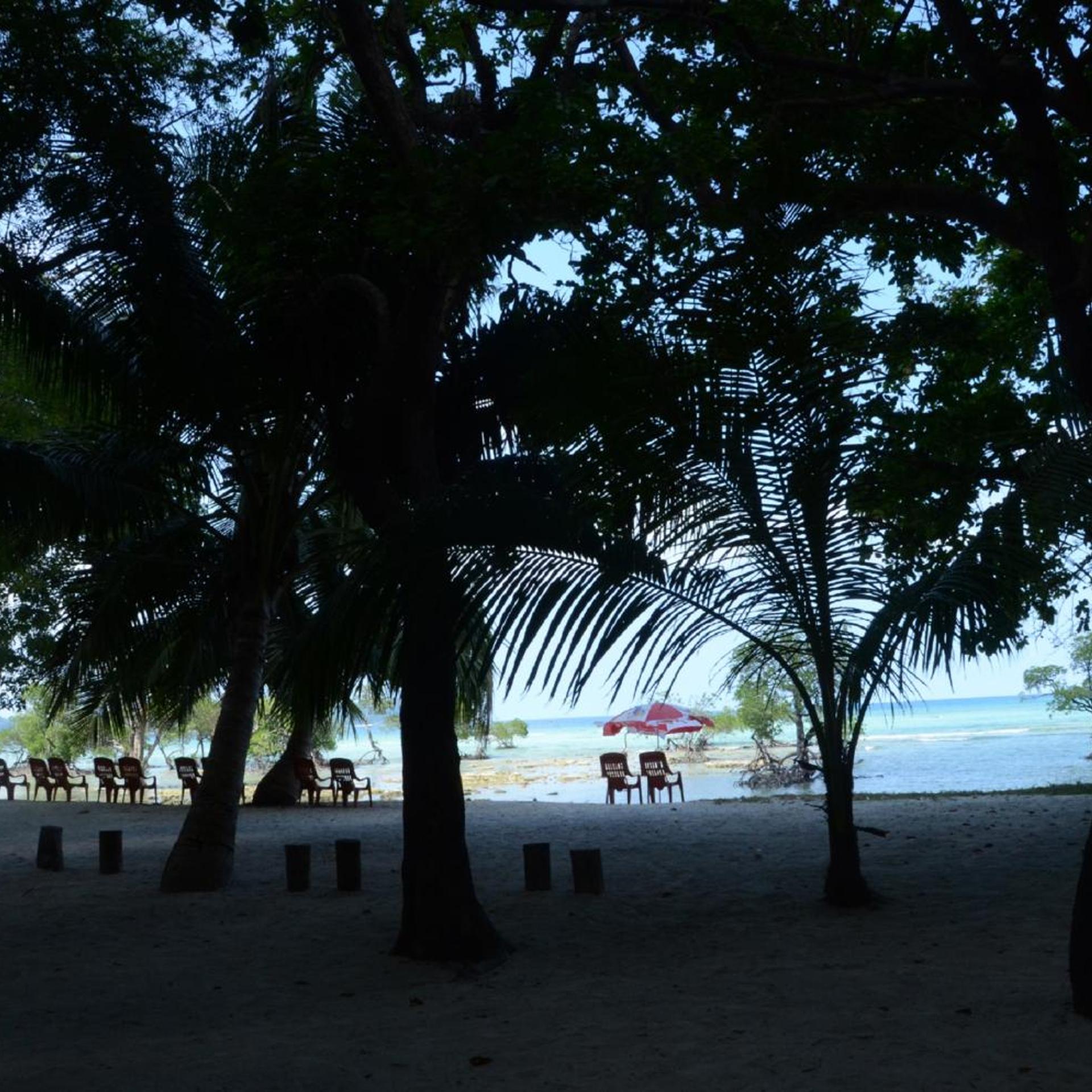 Coconhuts Beach Resort-Neil Island 36/49