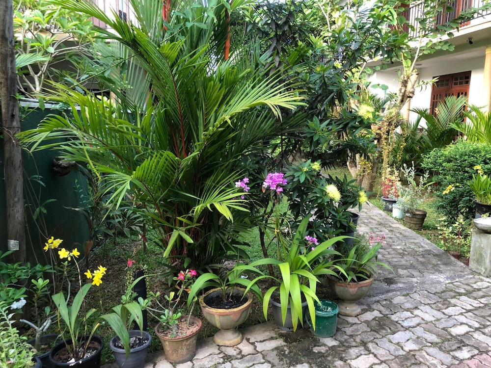 Coral Palm Villa And Apartment 44/50