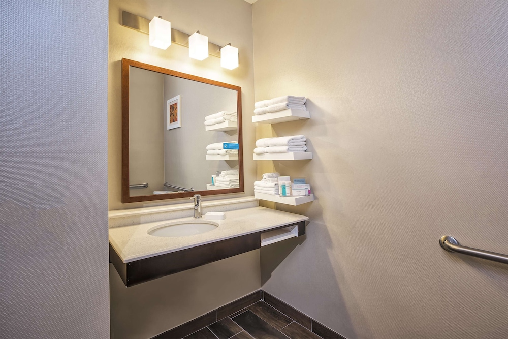 Hampton Inn Hotel Detroit/Belleville-Airport Area 16/39