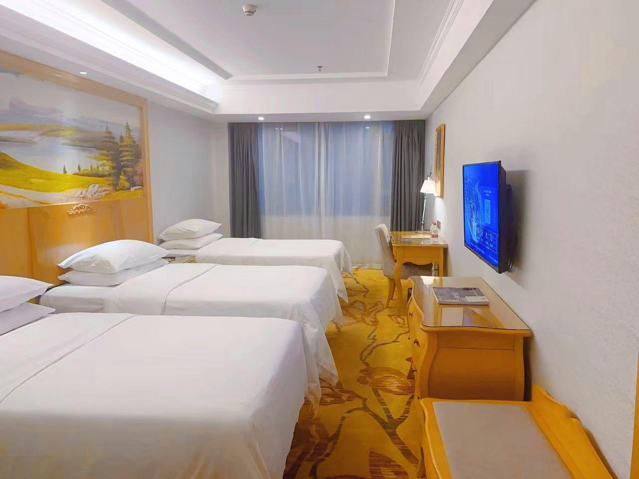 Vienna Hotel Huizhou (Huabianling Square Branch) 17/50