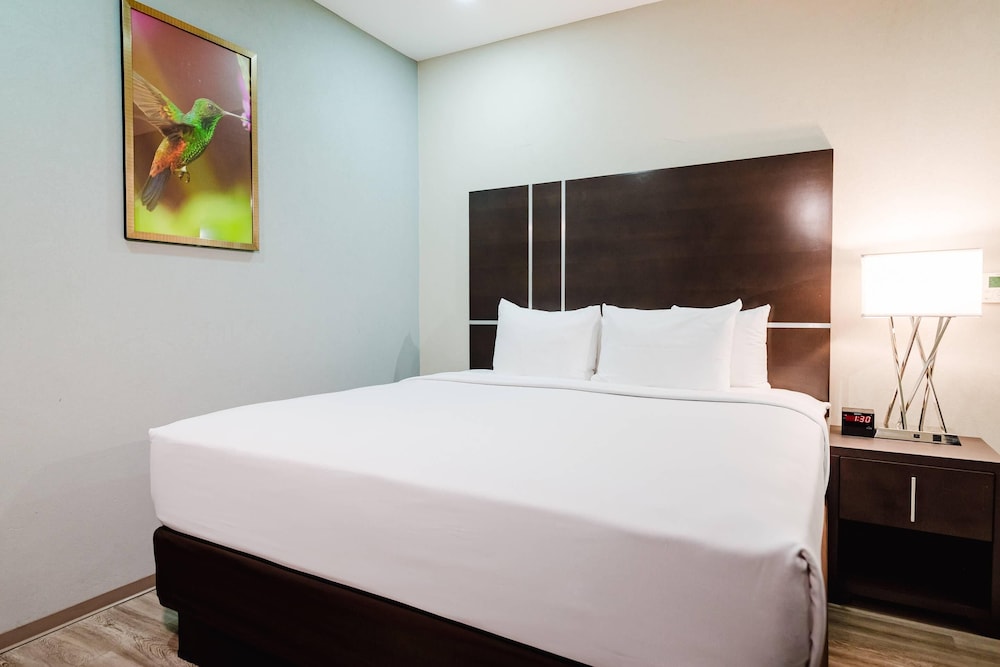 Family Suite, Multiple Beds
