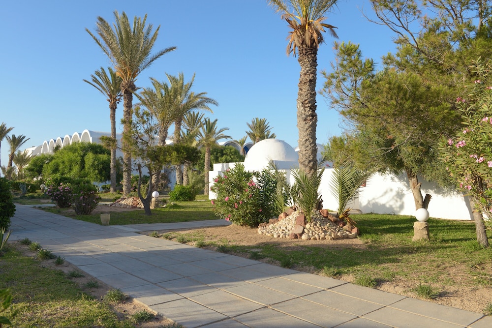 Monarque Dar Jerba Zahra 48/58