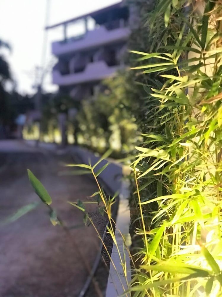 Mayfair Resort 27/35