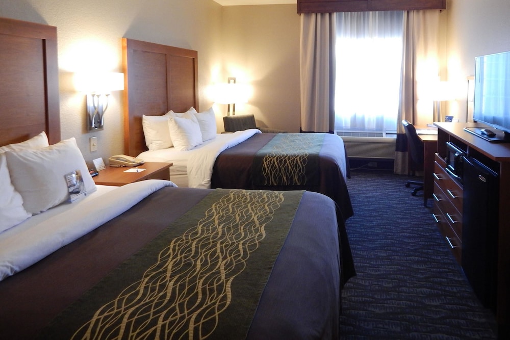 Comfort Inn & Suites Las Cruces Mesilla 16/54