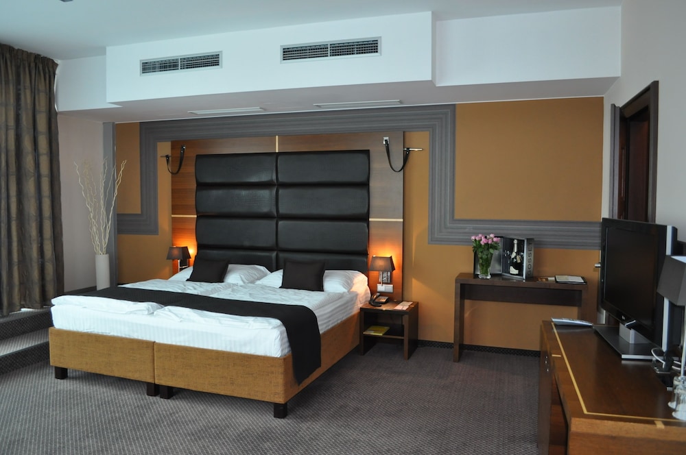 Art Hotel William 12/50