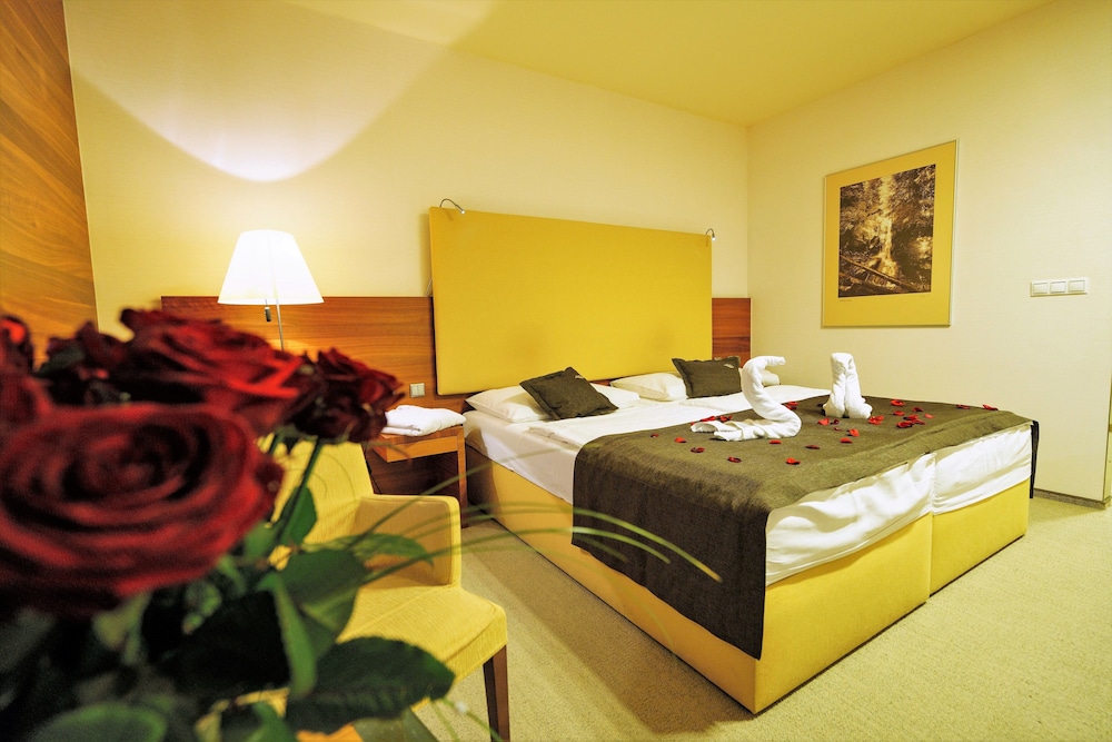 Hotel Aquacity Mountain View 14/65