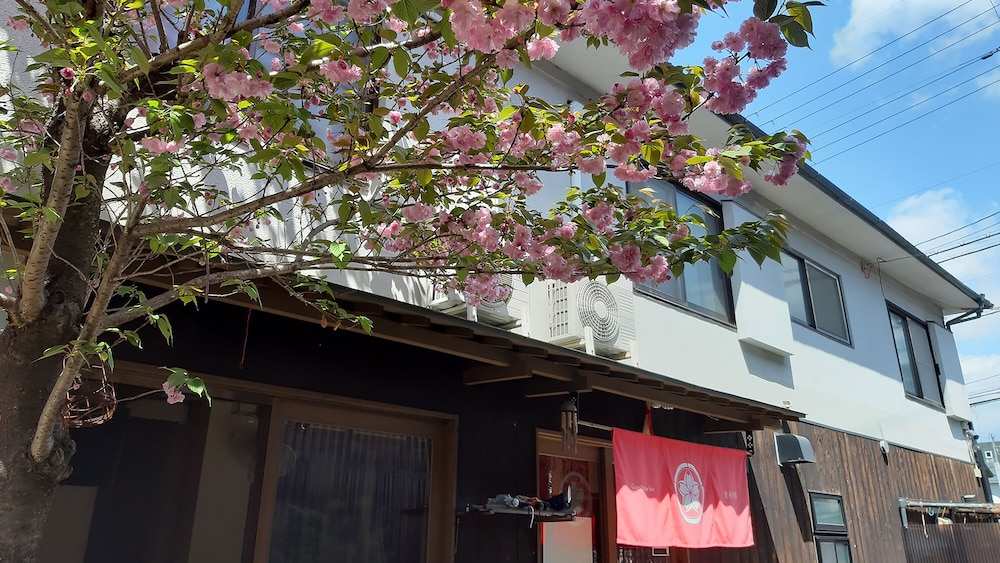 Guesthouse Soi 4/50