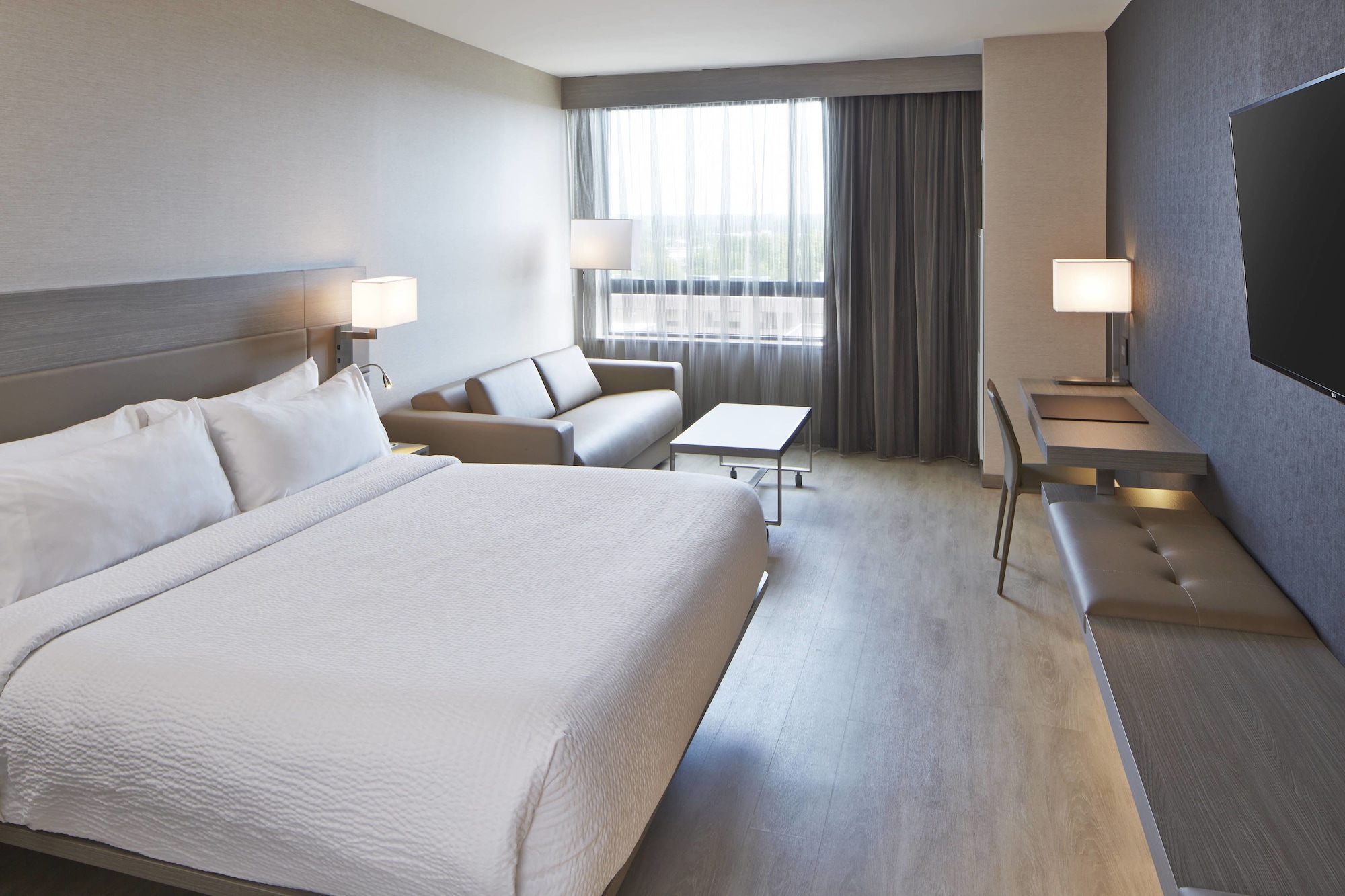 Room, King Bed, Sofa