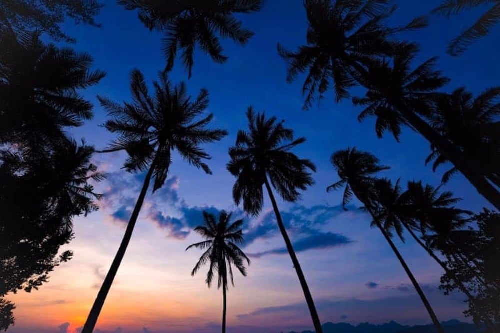 Coconut Beach Villa Langkawi 38/50