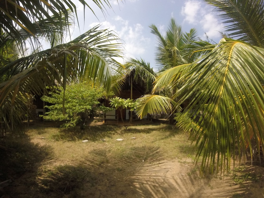 Safasurf Camp 4/7